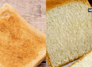 टोस्ट किया हुआ ब्रेड या नॉर्मल… जान लें कौनसा खाने का तरीका है सबसे हेल्दी, डायबटीज वाले जरूर