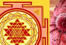 Vastu and Health: घर में इस जगह बनी टॉयलेट और पानी की टंकी से हो जाता है कैंसर! आप भी जानें और करें अपना बचाव