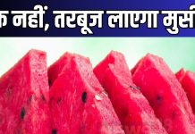 Avoid Watermelon: ये लोग गलती से भी न खा लें तरबूज, फायदे की जगह गले पड़ सकती है मुसीबत