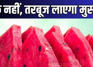 Avoid Watermelon: ये लोग गलती से भी न खा लें तरबूज, फायदे की जगह गले पड़ सकती है मुसीबत