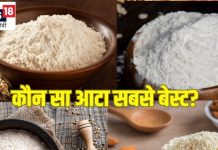 गेहूं, मैदा, बाजरा या फिर चावल का आटा, कौन सबसे हेल्दी और पौष्टिक?