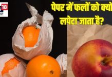 फल वाले Fruits को अखबार में लपेटकर क्यों रखते हैं? क्या आप जानते हैं इसका जवाब, ये है सही वजह