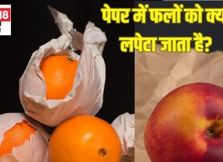 फल वाले Fruits को अखबार में लपेटकर क्यों रखते हैं? क्या आप जानते हैं इसका जवाब, ये है सही वजह