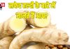 सफेद हल्दी (कचूर) के फायदे, कैंसर, पाचन और त्वचा समस्याओं में लाभदायक