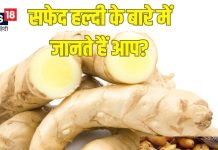 सफेद हल्दी (कचूर) के फायदे, कैंसर, पाचन और त्वचा समस्याओं में लाभदायक