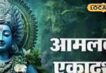 आंवला खोलेगा बंद किस्मत के ताले…आमलकी एकादशी पर करें ये चमत्कारी उपाय, जल्द बजेगी शहनाई!