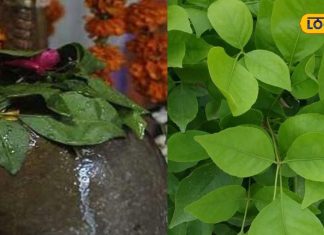 ग – Bharat.one हिंदी