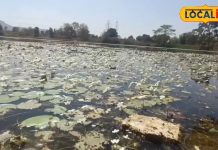 गंगा की तरह पवित्र है इस तालाब का पानी, नहाने से ठीक हो जाते हैं कई रोग, जानें रहस्य!