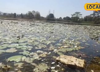 गंगा की तरह पवित्र है इस तालाब का पानी, नहाने से ठीक हो जाते हैं कई रोग, जानें रहस्य!