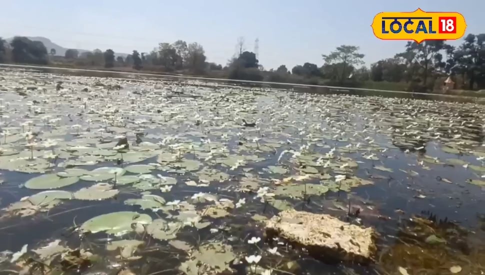 गंगा की तरह पवित्र है इस तालाब का पानी, नहाने से ठीक हो जाते हैं कई रोग, जानें रहस्य!