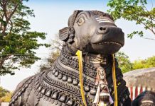 भगवान शिव की सवारी ‘नंदी’, सांड है या बैल? जानें क्या है इनके बीच का सही अंतर