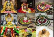 महादेव के 12 ज्योतिर्लिंग का अलग-अलग महत्व, अपनी इच्छा के अनुसार करें दर्शन ! तुरंत होगा लाभ