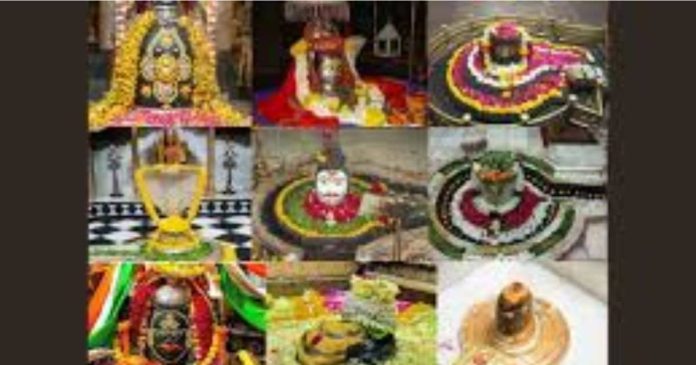 महादेव के 12 ज्योतिर्लिंग का अलग-अलग महत्व, अपनी इच्छा के
