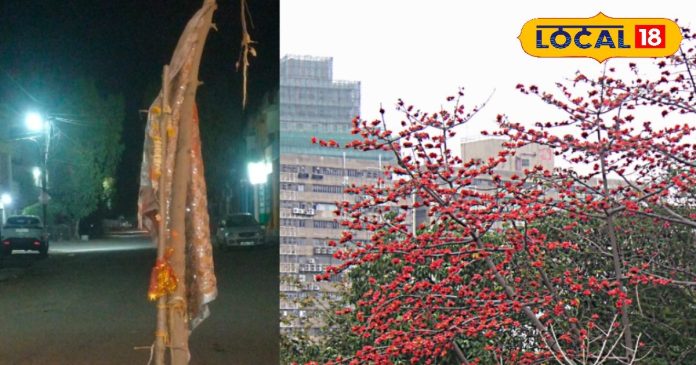 यज्ञ, हवन, फर्नीचर छोड़िए.. अंतिम संस्कार तक में इस्तेमाल नहीं