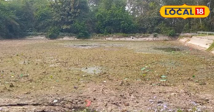 यूपी के इस तालाब की मिट्टी में है चमत्कार! लगाते
