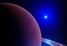 शनि गोचर में भूलकर भी न करें 8 काम, झेलनी पड़ेगी शनि देव की नाराजगी! 29 और 30 मार्च को रहे सतर्क, जानें एक्सपर्ट की राय