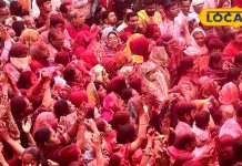 श्रीनाथजी की हवेली में मदनोत्सव की रंगीन छटा, भक्ति रस में डूबे नजर आ रहे भक्त, चारों ओर बरस रहा आनंद