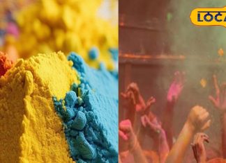 होली में एक दूसरे को क्यों लगाते हैं रंग? कब से हुई इसकी शुरुआत? हरिद्वार के ज्योतिषी से जानें महत्व