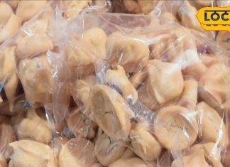 घर पर तैयार करें मशरूम अदौरी, स्वाद एकदम लाजवाब; 2 साल तक नहीं होगा खराब