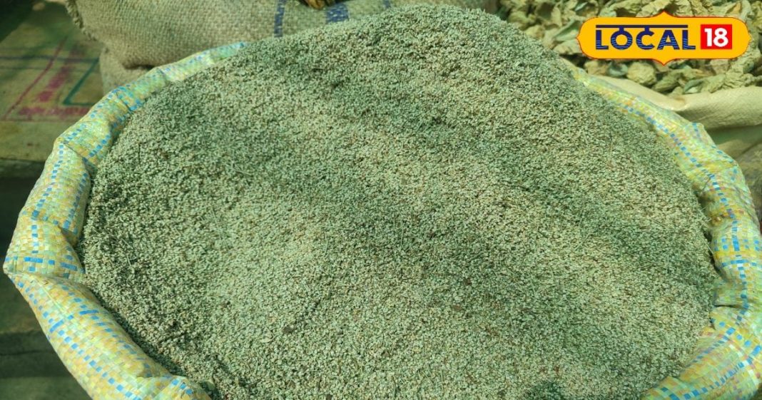 राजस्थान के लोगों को साल में बस एक बार मिलता है ये फूल, शरीर को रखता ठंडा