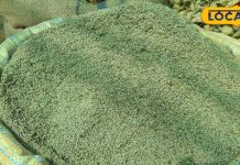 राजस्थान के लोगों को साल में बस एक बार मिलता है ये फूल, शरीर को रखता ठंडा