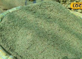 राजस्थान के लोगों को साल में बस एक बार मिलता है ये फूल, शरीर को रखता ठंडा