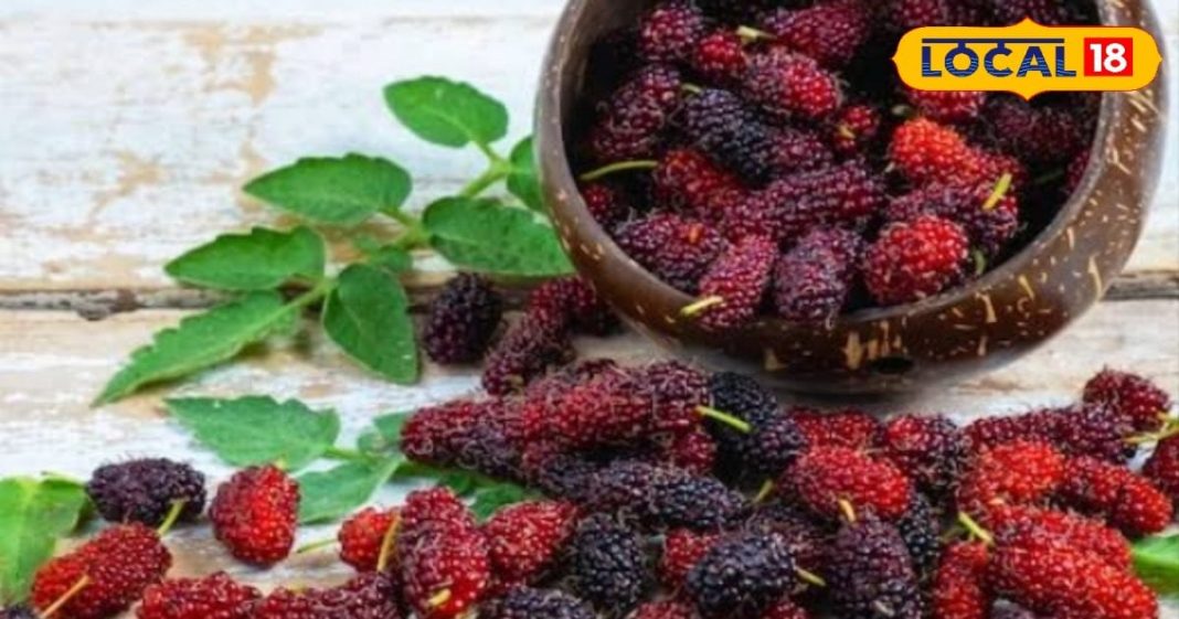 सेहत का खजाना है गर्मियों में मिलने वाला यह फल, पत्ते और छाल भी चमत्कारी; स्किन के लिए फायदेमंद