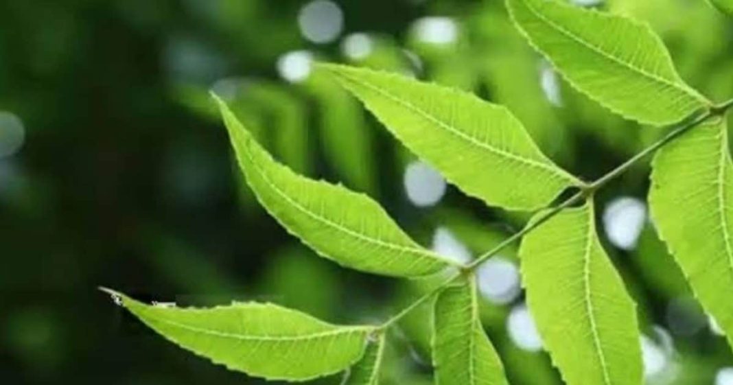 ना देर, ना दर्द! पेरिओड्स से जुड़ी हर टेंशन को कहो बाय-बाय, आज़मा लो ये उपाय