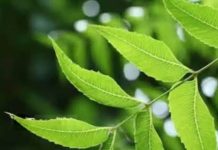 ना देर, ना दर्द! पेरिओड्स से जुड़ी हर टेंशन को कहो बाय-बाय, आज़मा लो ये उपाय