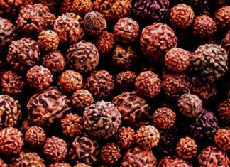 महंगे परफ्यूम को कहें अलविदा, ये खास इत्र खुशबू और सेहत दोनों में बेस्ट, अभी करें ऑर्डर