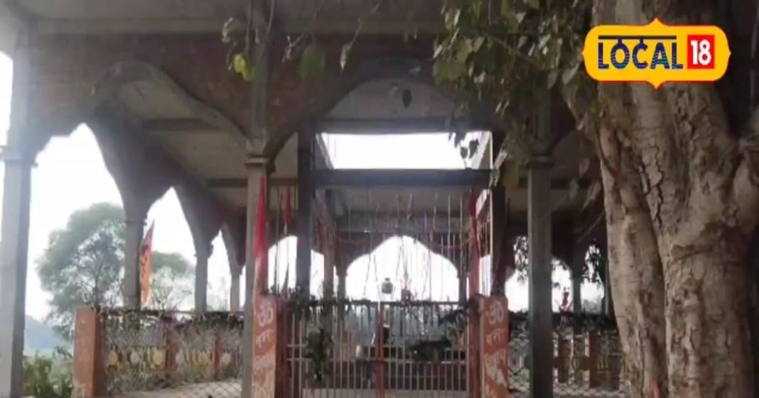 40 साल पुराना रहस्य! नीम के पेड़ में लगी आग