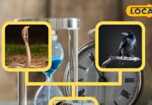 सांप, कौवा, कुत्ता के इन संकेतों को अनदेखा न करें, सामने या सपने में बता देंगे..आ रहा बुरा समय!