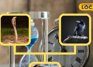 सांप, कौवा, कुत्ता के इन संकेतों को अनदेखा न करें, सामने या सपने में बता देंगे..आ रहा बुरा समय!