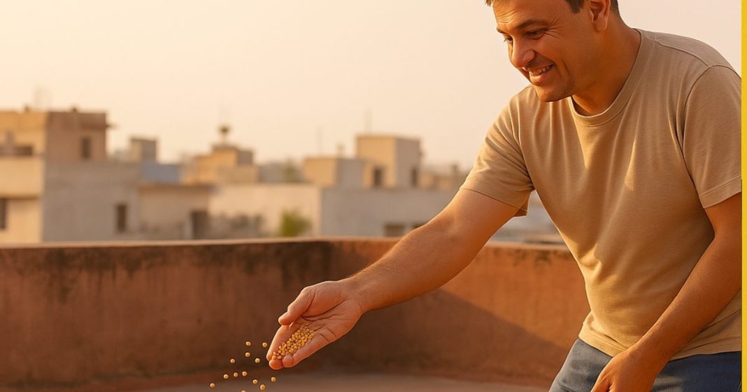 Astro Tips: कहीं आप भी तो पक्षियों को छत पर दाना नहीं डालते हैं, पुण्य की जगह उठाना पड़ सकता है नुकसान!