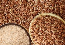 सफेद से ज्यादा नुकसानदायक हैं ब्राउन राइस..! बच्चों के दिल और दिमाग पर डालता नकारात्मक असर, रिसर्च में खुलासा