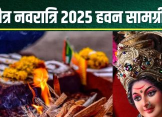 Chaitra Navratri 2025 Havan Samagri List: हवन के बिना अधूरी है चैत्र नवरात्रि, पंडित जी से जानें हवन सामग्री, मुहूर्त और मंत्र