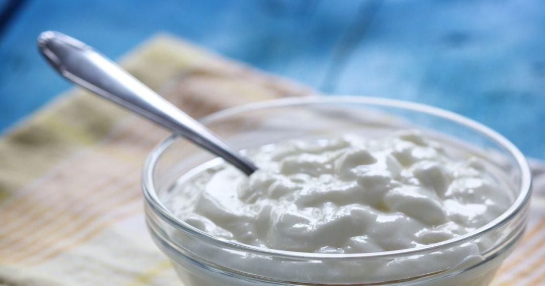 दही के साथ भूलकर भी न खाएं ये 5 चीजें, स्किन और हेल्थ को पहुंचा सकती है नुकसान, कौसनी हैं वो चीजें यहां देखें लिस्ट