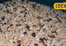 рддрд╛рдХрдд рдХрд╛ рднрдВрдбрд╛рд░ рд╣реИ рдпреЗ рдЬрдВрдЧрд▓реА рджрд╛рд▓, рджреЛрдЧреБрдиреЗ-рддрд┐рдЧреБрдиреЗ рджрд╛рдо рдкрд░ рдЦрд░реАрдж рд░рд╣реЗ рд╕рдКрджреА рдХреЗ рд▓реЛрдЧ, рд╕реБрдзрд╛рд░ рджреЗрдЧреА рдмрд┐рдЧреЬреА рд╕реЗрд╣рдд