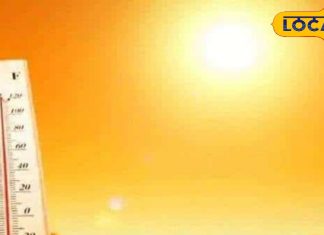 चटपटा खाने का शौक पड़ सकता है भारी, तेज गर्मी में इन चीजों से बनाए दूरी