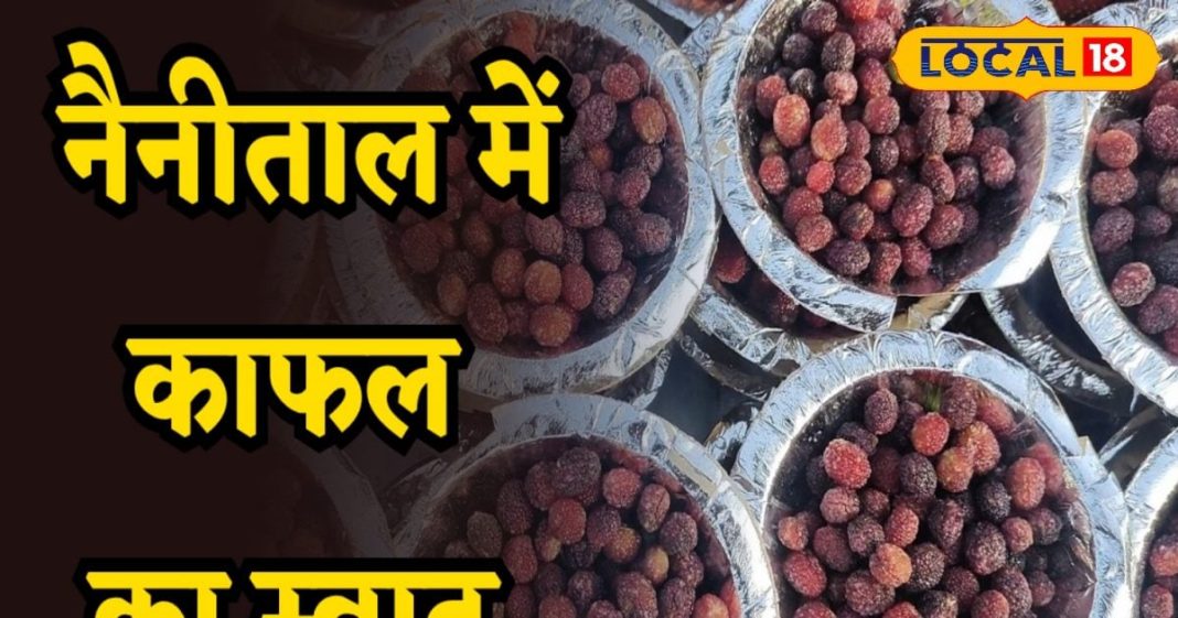 सिर्फ कुछ ही महीने मिलता है ये जंगली फल, फायदे जान उड़ जाएंगे होश