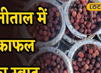 सिर्फ कुछ ही महीने मिलता है ये जंगली फल, फायदे जान उड़ जाएंगे होश