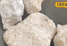 बड़े काम का है यह नमक, शरीर की गंदगी निकालने के साथ ही पाचन शक्ति और माइग्रेन में भी है फायदेमंद
