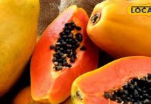 पपीता वजन कम करने में करेगा मदद, त्वचा और बालों के लिए भी फायदेमंद; ये लोग भूलकर भी ना करें सेवन