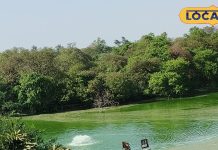 दिल्ली में यमुना रिवर फ्रंट, पार्किंग, लॉन और अलग प्रवेश-निकास रास्ते. – Bharat.one हिंदी