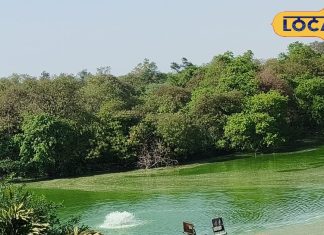 दिल्ली में यमुना रिवर फ्रंट, पार्किंग, लॉन और अलग प्रवेश-निकास रास्ते. – Bharat.one हिंदी