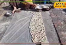 ऐसे बनाएंगे कोहडौरी तो महीनों नहीं होगी खराब! स्वाद ऐसा कि उंगलियां चाटते रह जाएंगे लोग!