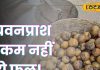 ताकत के मामले में च्यवनप्राश से कम नहीं ये फल… सिर्फ मार्च-अप्रैल में मिलता है, जानें क्या है खूबी!