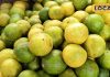Lemon Price Hike: नींबू ने लोगों के दांत किए खट्टे , आसमान छू रहे भाव, लोगों ने बनाई दूरी