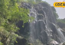 ऋषिकेश में वॉटरफॉल का बिहार कनेक्शन! टूरिस्ट बोले- दिल जीत लेती है इसकी खूबसूरती