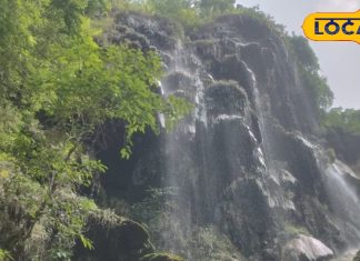 ऋषिकेश में वॉटरफॉल का बिहार कनेक्शन! टूरिस्ट बोले- दिल जीत लेती है इसकी खूबसूरती